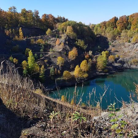 Leimbach Daire Bad Brückenau Dış mekan fotoğraf
